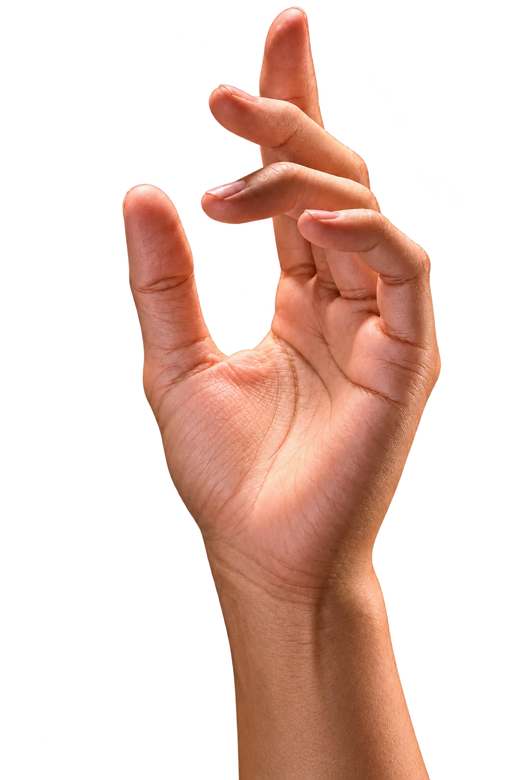 Design Solutions Hand Gesture