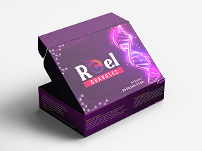 Brochure Package Design